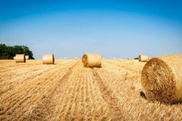 Pacchetto di Ferragosto