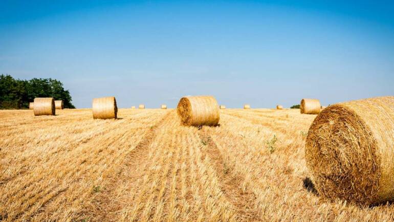 Pacchetto di Ferragosto